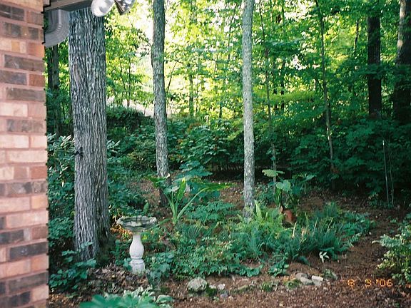 View From Front Porch
