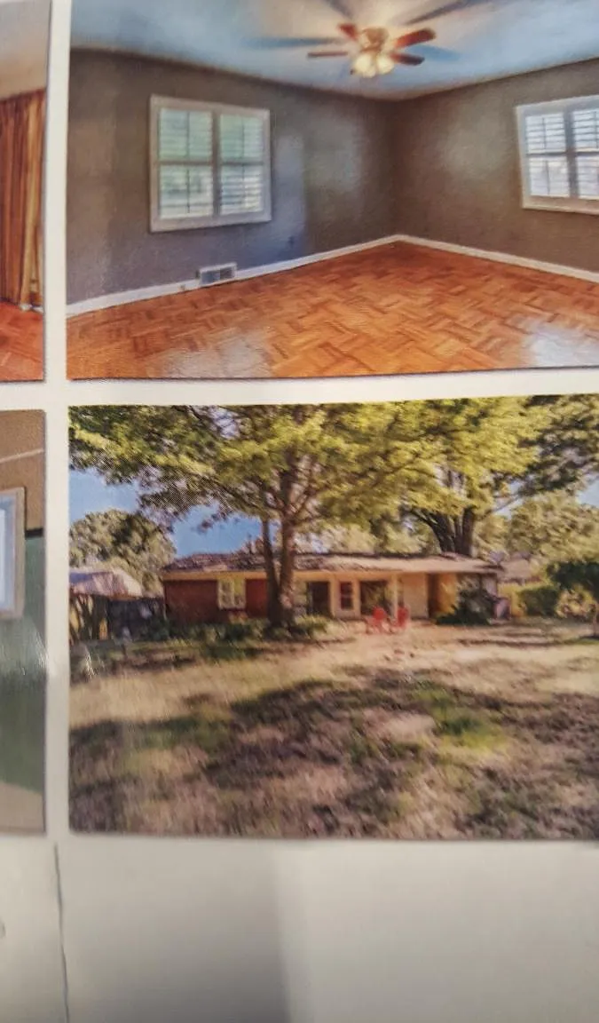 3 bed, 1200 sqft, $1,900 — Photo 2