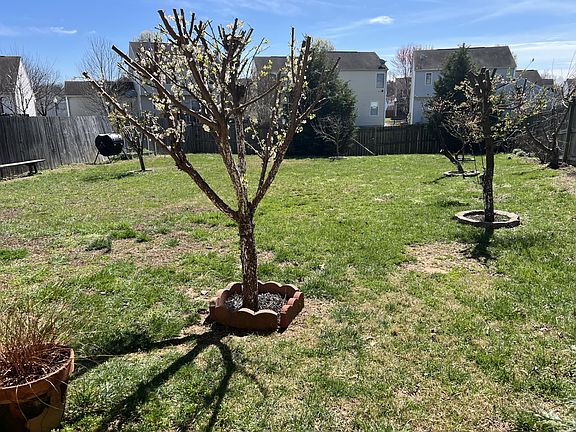 5th image of 5110 Arbor Oak Ct