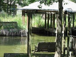 A View from back yard