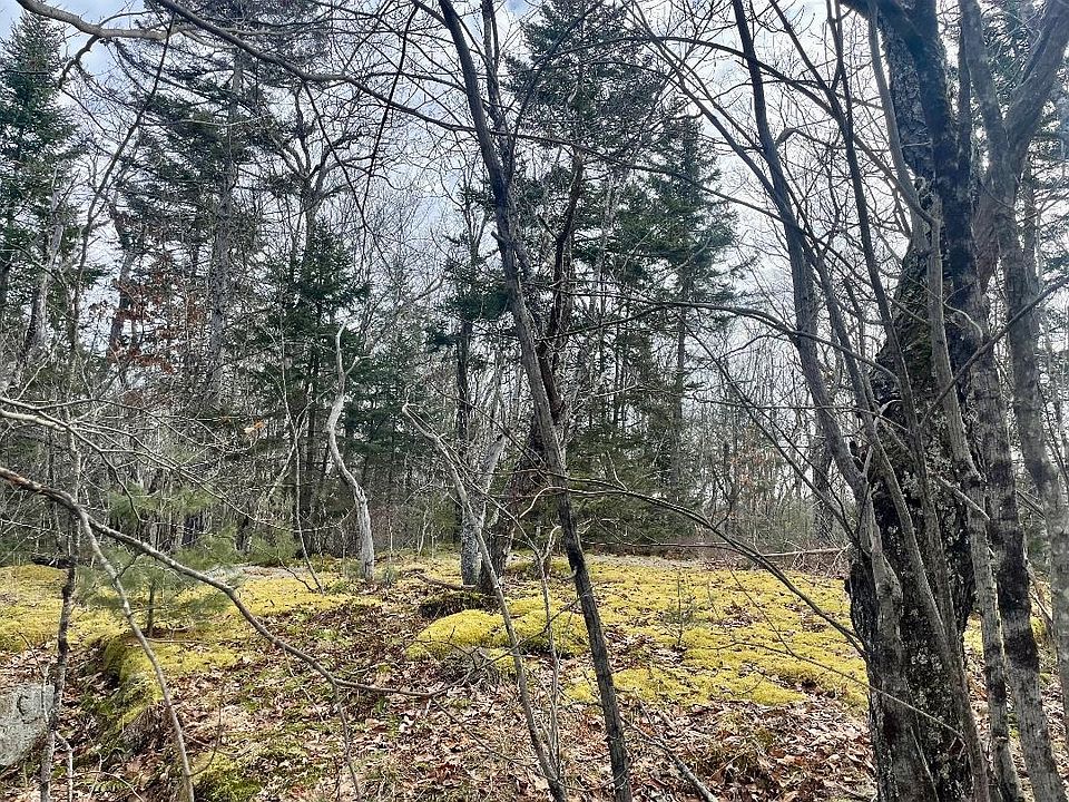 000 Long Pond Road Lot 20, Lempster, NH 03605 Zillow