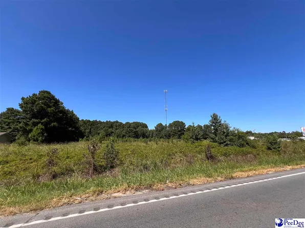 E Broad St, Hemingway, SC 29554