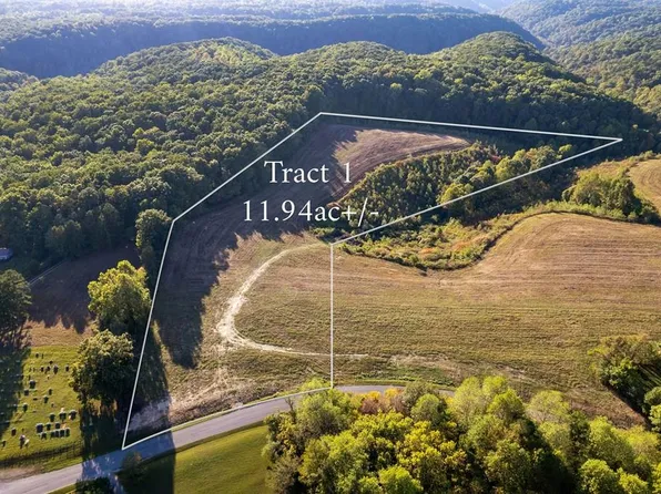 3145 Pea Ridge Rd Lot 1, Liberty, TN 37095