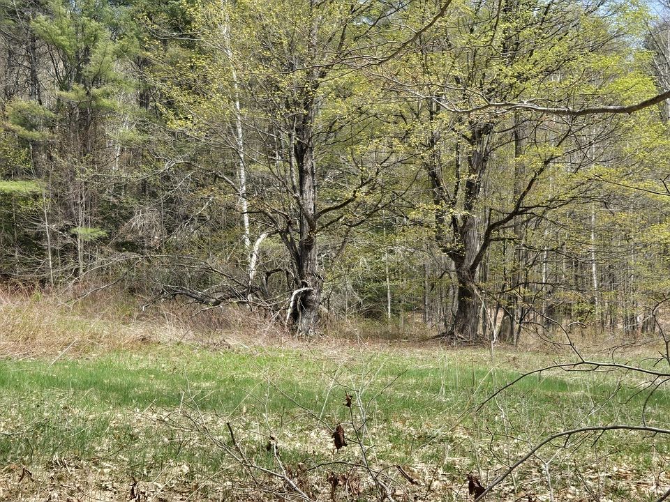 1st image of 0 W Branch Rd