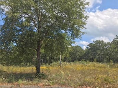 Xxx Josephine St, Defuniak Springs, FL, 32433