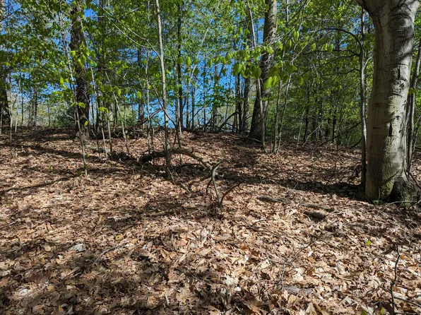 LOT 39 Novadoc Blvd, Mears, MI 49436