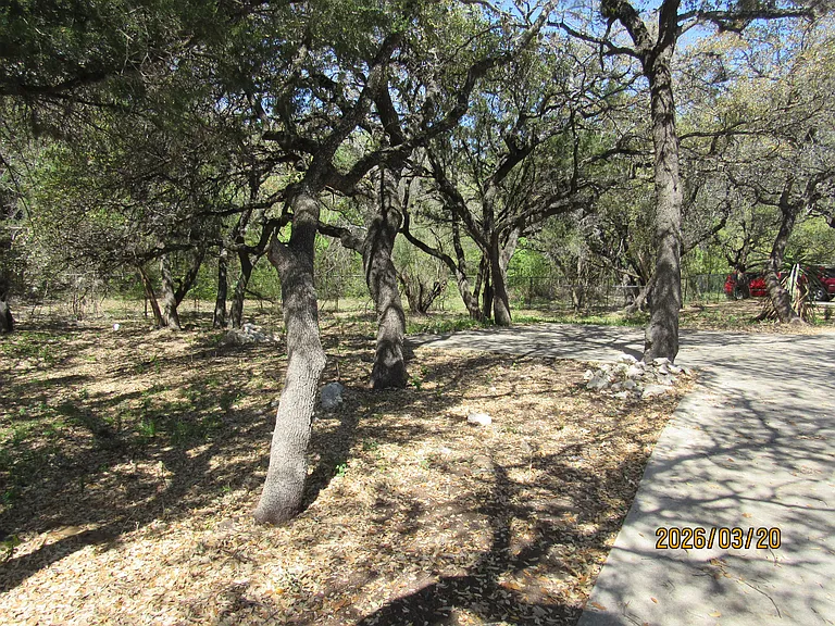 13815 Parksite Woods — Photo 6