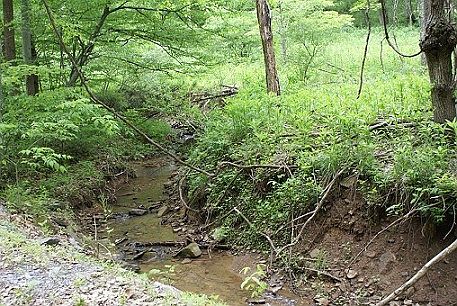 2nd image of 1262 Abrams Run Rd