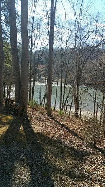 Hemlock Shores Dr Lot 5 photo 1