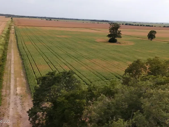3342 Campbell Rd, Tutwiler, MS 38963