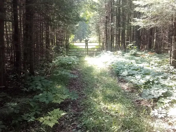 0 Us Highway 2 Rd, Gould City, MI 49838