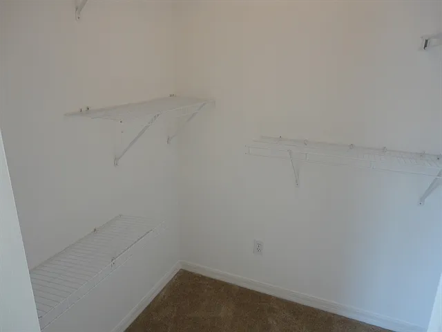 11837 Brenford Crest Dr — Photo 10