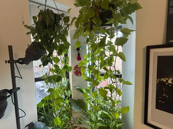 560 West End Avenue image 8 of 23