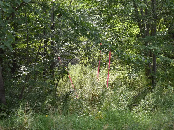 1 Pickle Ridge Road, Webster Plt, ME 04487