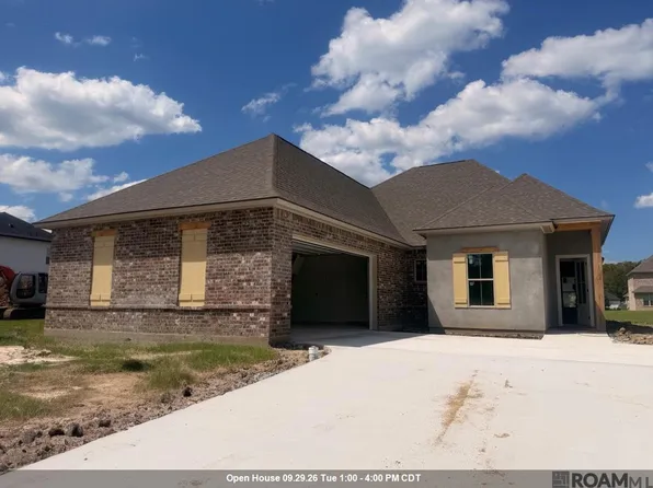21425 Blue Fin Dr, Springfield, LA 70462
