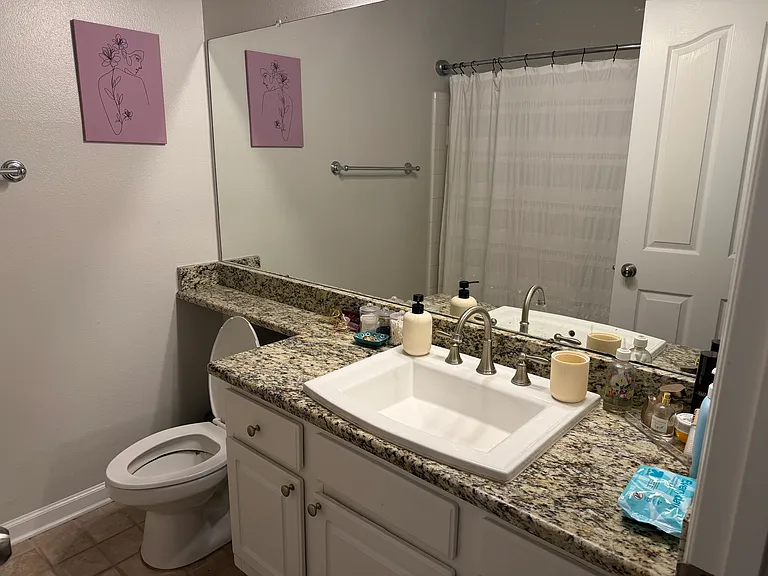 4207 S Dale Mabry Hwy #11206 — Photo 14