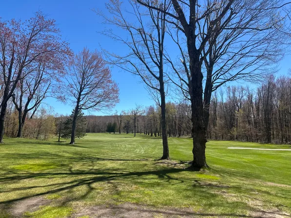 4925 Eastwind Way, Harbor Springs, MI 49740