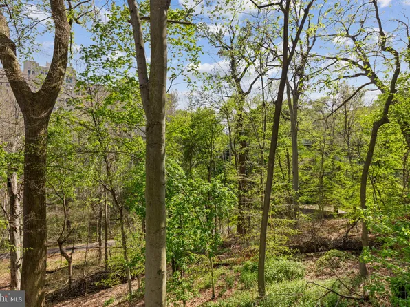 2710 Macomb St NW APT 314, Washington, DC 20008