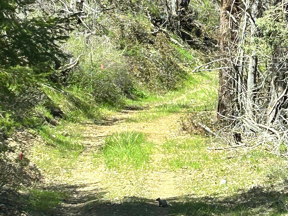 0 Klamath River Rd Yreka, CA, 96097 Apartments for Rent Zillow