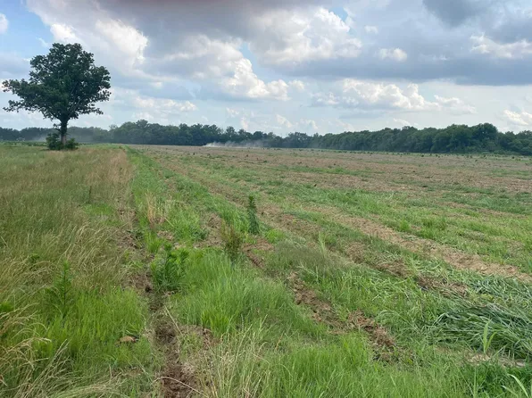 0 Mitchiner Rd, Rayville, LA 71269