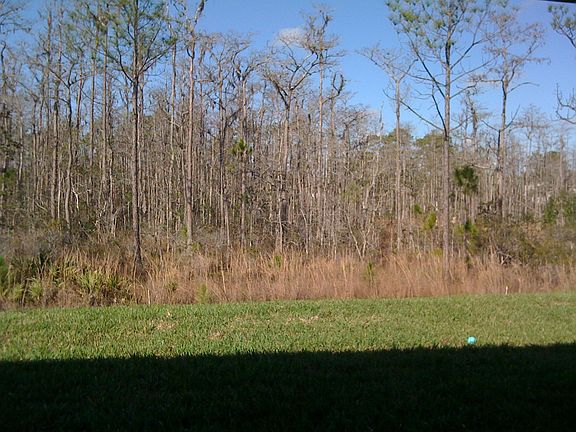 View out back