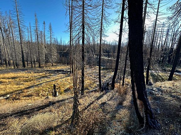 3rd image of 7008 Warner Creek Dr