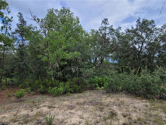 5th image of 2799 W Gaucho Dr