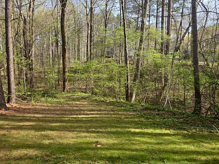 2801 Trailwood Pines Ln — Photo 18