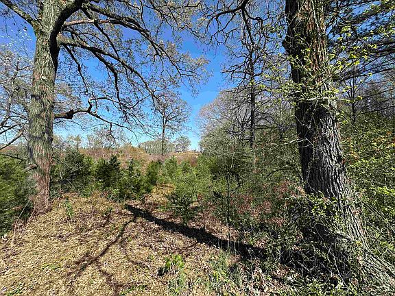 2nd image of 834 County Road 1225