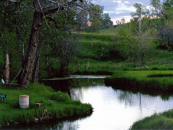 Trout Pond