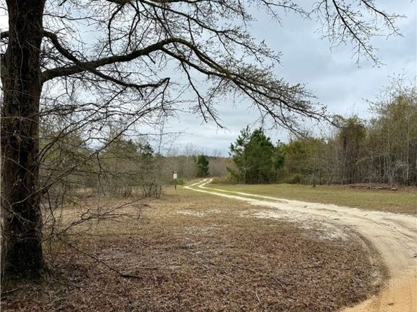 445 Winchester Rd, Sylvania, GA 30467