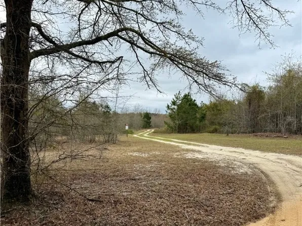 445 Winchester Road, Sylvania, GA 30467
