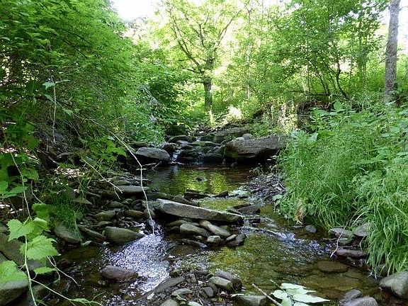 3rd image of 1931 Jones Hollow Rd