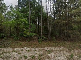 NE 821st St LOT 141, Old Town, FL 32680