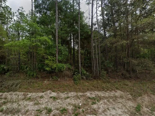 NE 821ST STREET LOT 141, OLD TOWN, FL 32680