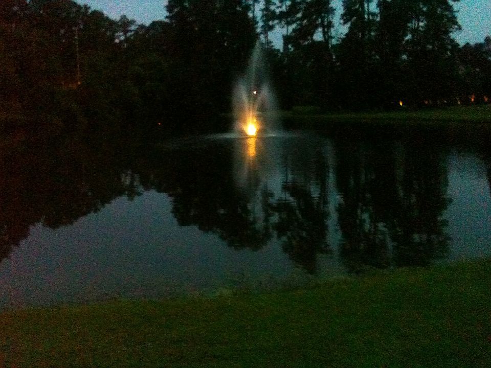 view of pond