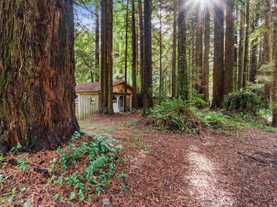207 Lanford Rd, Trinidad, CA, 95570