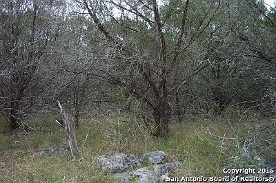 5th image of 1364 Bellewood Ln