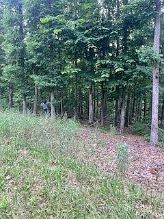 3rd image of Sheffield Dr #16