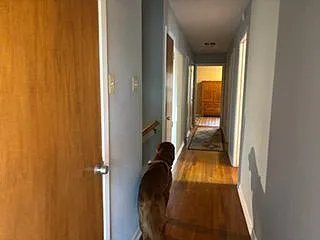 114 Carmel Dr — Photo 11