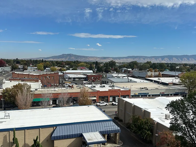 The view