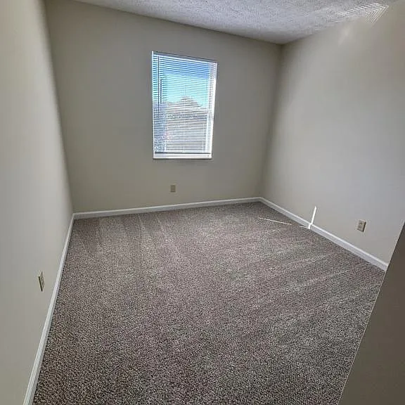 303 Farside Dr #5 — Photo 13