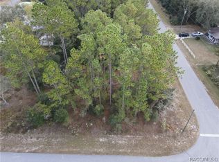 9521 N Old Mill Way, Citrus Springs, FL 34433