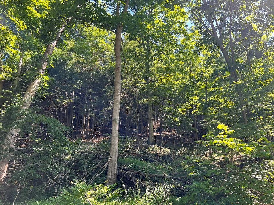 2nd image of Wally Rd