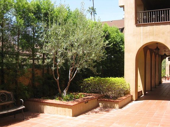 Sunny Courtyards