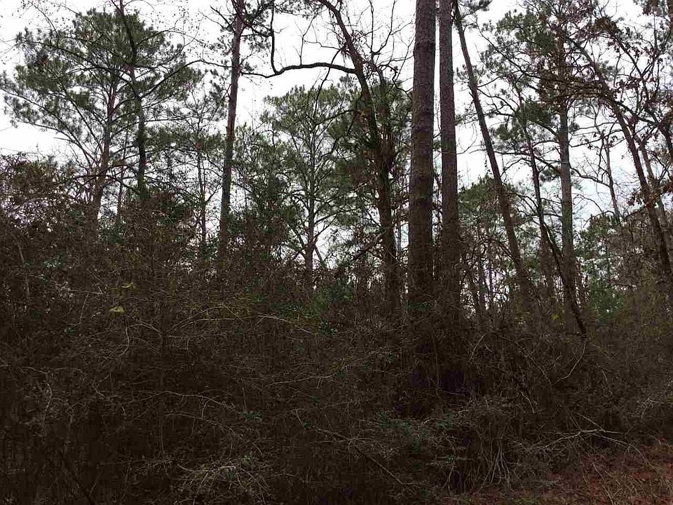 2nd image of Burrow Ln