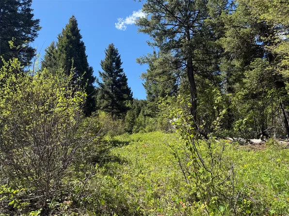 NHN Camas Springs Rd, Potomac, MT 59823