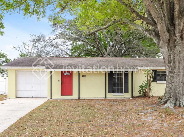 6419 Willow Wood Ct, Tampa, FL 33634