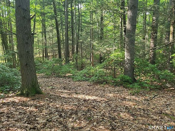 4th image of 8-2 Tayler Trail