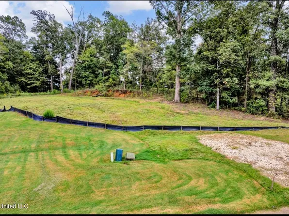 2768 Blackrock Dr, Nesbit, MS 38651